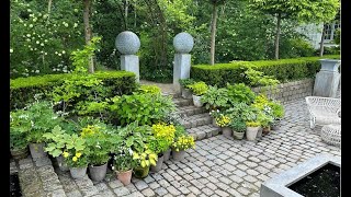 The Sunken Garden  foliage plants in containers