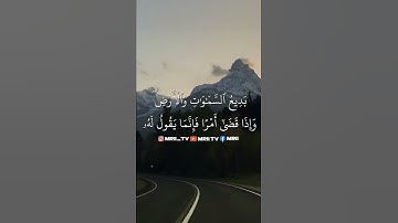 ماهر المعيقلي - سورة البقرة ( برواية حفص عن عاصم ) الأية 116 - 117