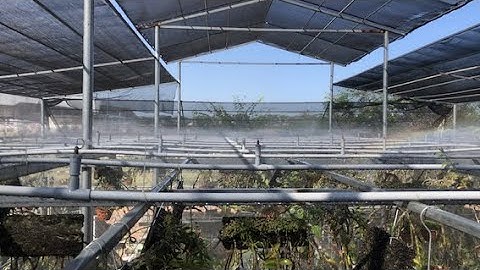 Hệ thống tưới lan - Ưu và nhược điểm