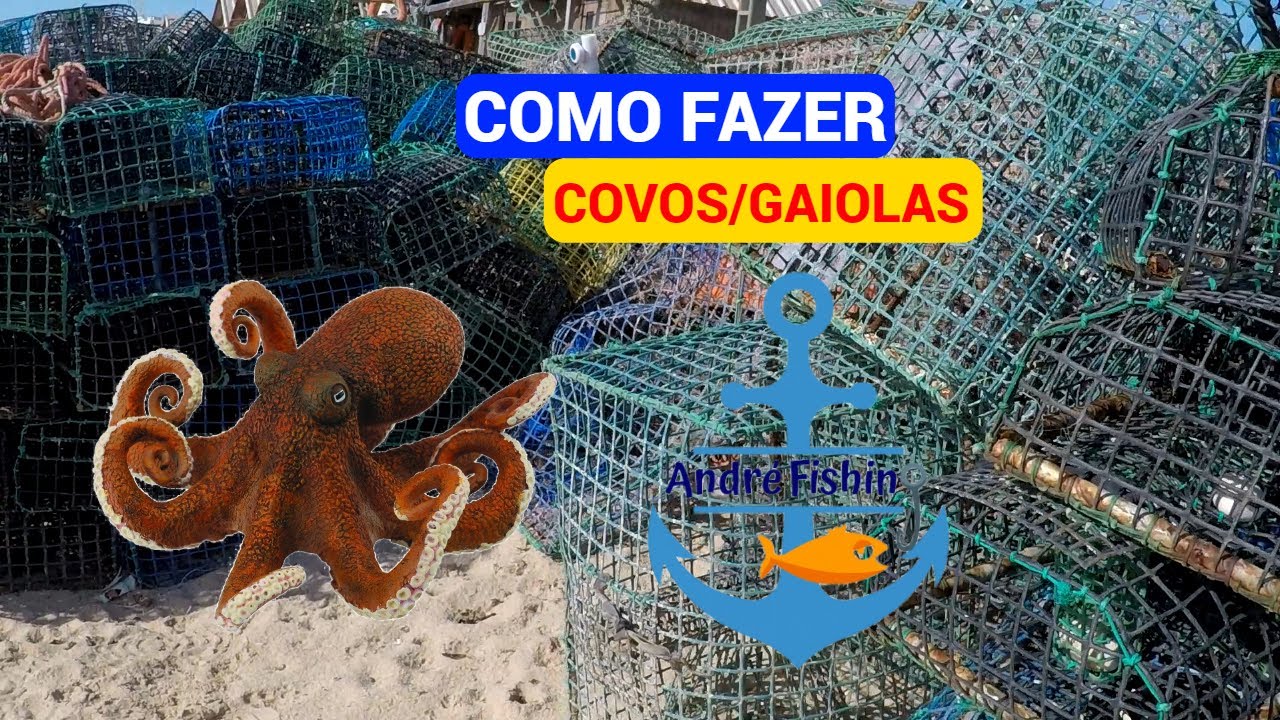 Tutorial - Armadilha para polvos