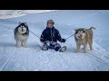 SLEDDING WITH SLED DOGS