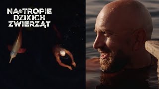 Pływali W Amazonce Z Różowymi Delfinami Na Tropie Dzikich Zwierząt