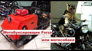 Мечта рыбака Мотобуксировщик Forza или мотособака Форза 9 л.с.