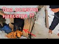 Бездомная собака жила на складах /парень попросил помощи спасти собаку/help save the dog