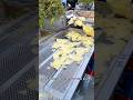 Automatic Potato Chips making machine #shorts #machine #chips #industrial #automaticmachine #viral