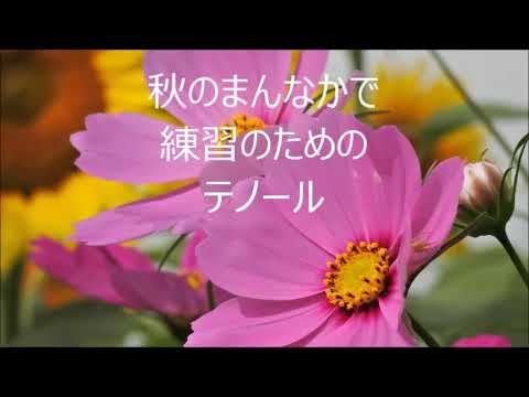 木下牧子　「光と風をつれて」より　２．秋のまんなかで　テノール