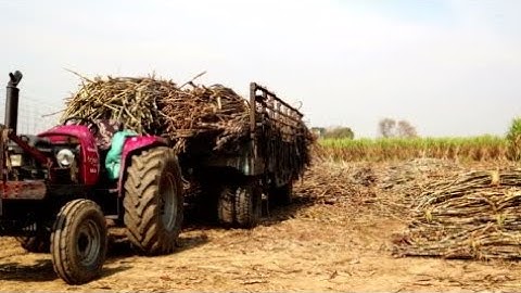 Sugarcane Unloading Process in Factory | Amazing Relaxing Video