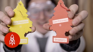 The Story of the Little Tree Car Air Fresheners: So Fresh and So Clean