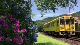 【鉄道動画】あじさい満開の豊後中川駅を駆け抜ける列車たち（ななつ星・ゆふいんの森他）