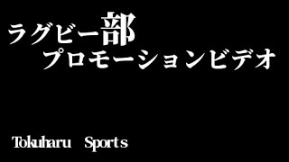 ラグビー部 男子 ラグビー部 男子