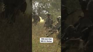 Exclusive access inside U.S. Marines’ military exercise in Australia #shorts