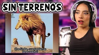 MEMES RANDOM #199 - SOUNDY REACCIÓN