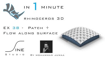 Rhino in 1 minute  -  EX 38  -  Patch + Flow along surface