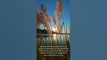 ﴿ وَوَصَّيْنَا الْإِنسَانَ بِوَالِدَيْهِ ...﴾ الآية ١٥ من سورة الأحقاف | القارئ بدر التركي