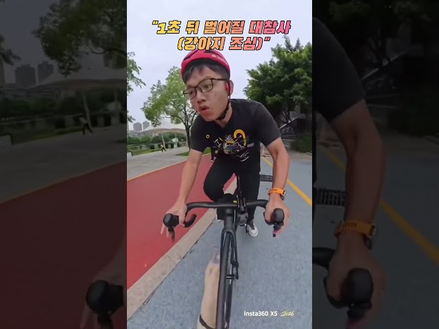 0.5초 만에 강아지 충돌? #자전거사고 #강아지 #로드라이딩