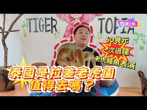 是拉差老虎園實測！60 蚊看鱷魚秀 + 猴子玩樂值得去？【一週一蘇】20260418 阿蘇遊