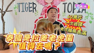 是拉差老虎園實測！60 蚊看鱷魚秀 + 猴子玩樂值得去？【一週一蘇】20260418 阿蘇遊