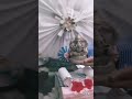 Ganpati bapa morya #ganpatibappamorya usa