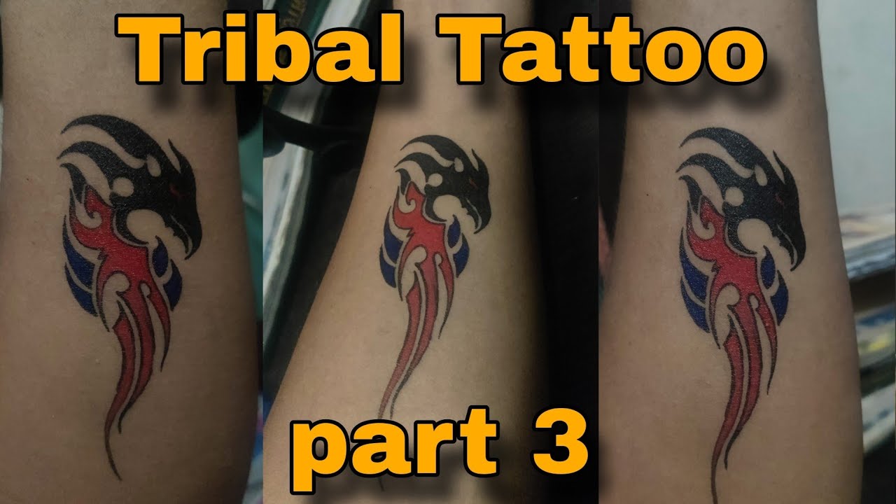 "Best Tribal Tattoo Designs 2025 | Unique & Bold Tattoo Ideas"