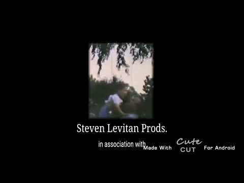 Steven Levitan Prods/(Ge.Wirtz) Films/DreamWorks SKG/20th Century Fox Television (2003-2004)