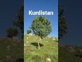 Kurdistanslemanidokan