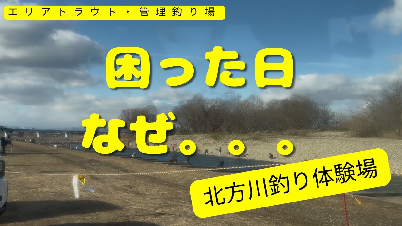 赤身も釣れるらしぃ。1日3500円で釣り放題。北方川釣り体験場【エリアトラウト・管理釣り場】#釣り#マス#鱒#管釣り#アルミん#一宮#愛知