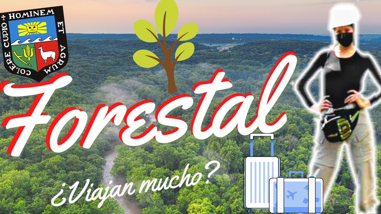 ✅Cómo es ING. FORESTAL en la AGRARIA?✨