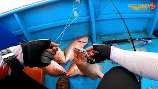Jumpa kawanan ikan merah | trip bertukar bottom