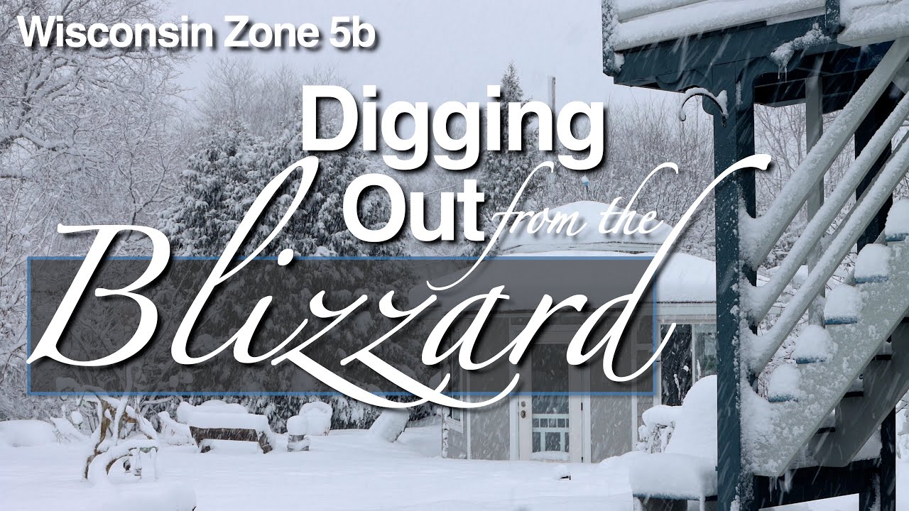 Digging Out from the Blizzard - A good old-fashioned blizzard buries ...