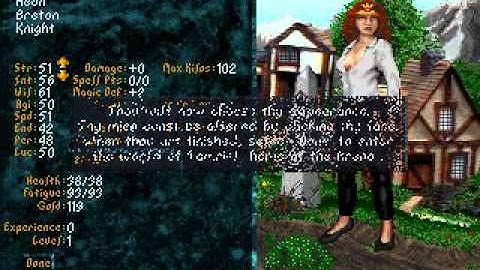 My First Immediate Date In The Elder Scrolls: Arena