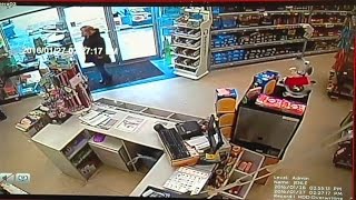 Dog worth $1,700 returned after stolen from pet store in Terre Haute