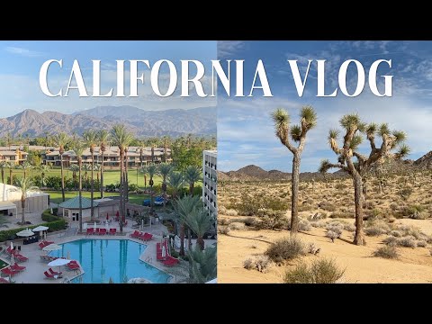 미국 브이로그 🇺🇸 | 캘리포니아 LA 팜스프링스 | JW메리어트 호캉스 | 조슈아트리 국립공원 | 샌디에고 라호야 비치 | California Palm Springs Vlog