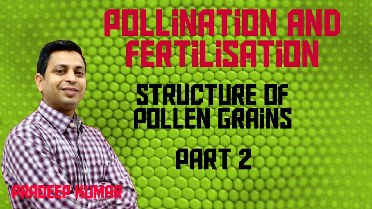 Pollination and fertilisation class 9 icse |part 2 - YouTube