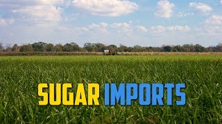 Sugar Imports