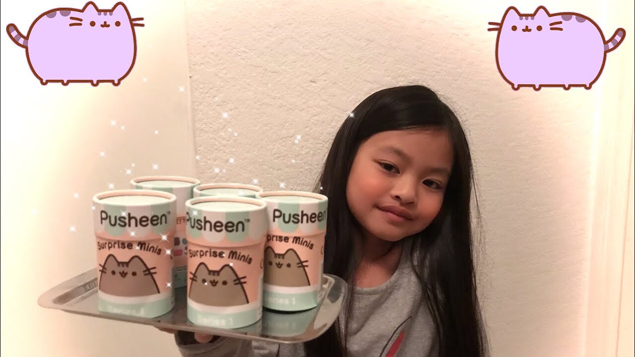 pusheen mini vinyl