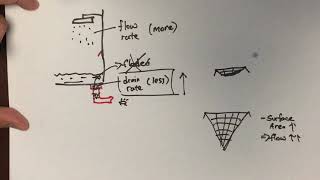 Prevent cockroach crawl into bathroom through drain hole