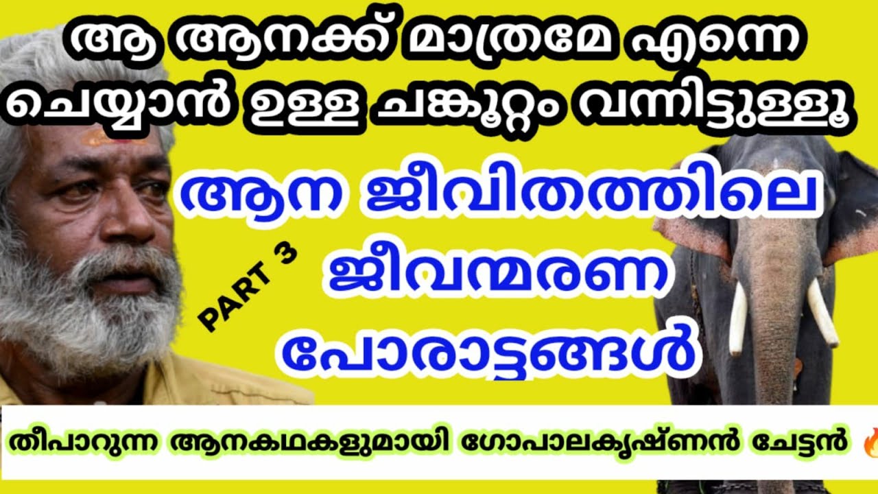 അവനു മാത്രമേ എന്നെ ചെയ്യാൻ ഉള്ള ചങ്കൂറ്റം വന്നിട്ടുള്ളൂ 🔥🔥🔥 ആനപ്പണിയിലെ അനുഭവങ്ങൾ പങ്കുവെക്കുന്നു