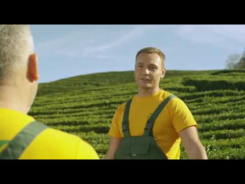 Мацеста чай) чай Сочи!