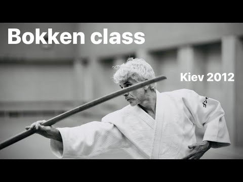 Aikido - Bokken study by Bruno Gonzalez