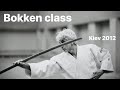 Aikido  bokken study by bruno gonzalez