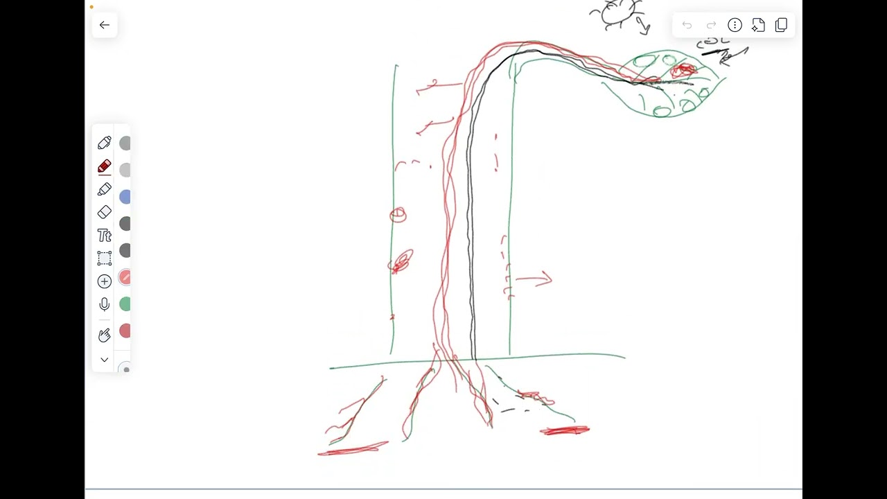 الفصل الخامس النقل المحاضرة الخامسة