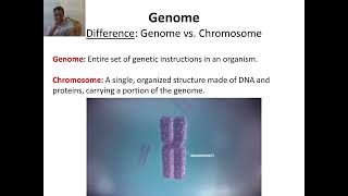 Bioinformatics Course 101: Lecture-1 Quick recap