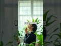 City Micro Forests Inside: A Practical Natural Living Series