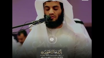 رعد محمد الكردي - سورة الشعراء