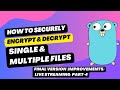 How to Securely Encrypt &amp; Decrypt Sinlge Files &amp; Multiple Files  in Golang Part3 | Golang API