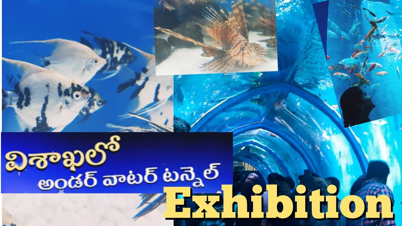 Dubai Kind of First UnderWater Tunnel Aquarium in Vizag at Rk Beach