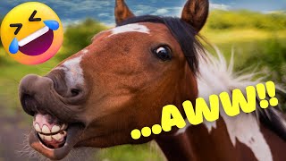 Best Funny Animal Videos makes you aawww 😂😂 - Funniest Animal 😁 Dogs And Cats Videos 😁😁