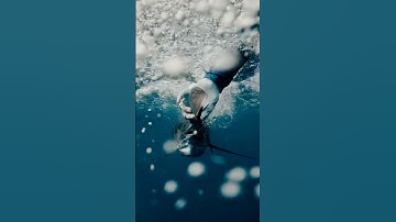 Cinematic Striped Marlin Release—Back to the Deep Blue 🎣🌊