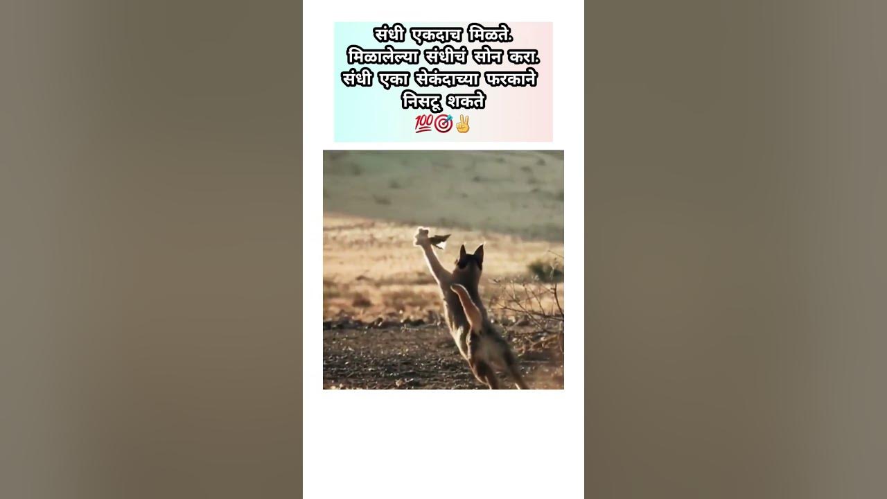 new-what-sup-marathi-status-motivational