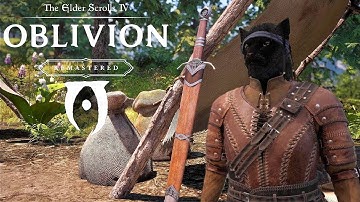 The Cyrodiilic Adventures of Kela Longshadow - OBLIVION Chapter 1 Part 5